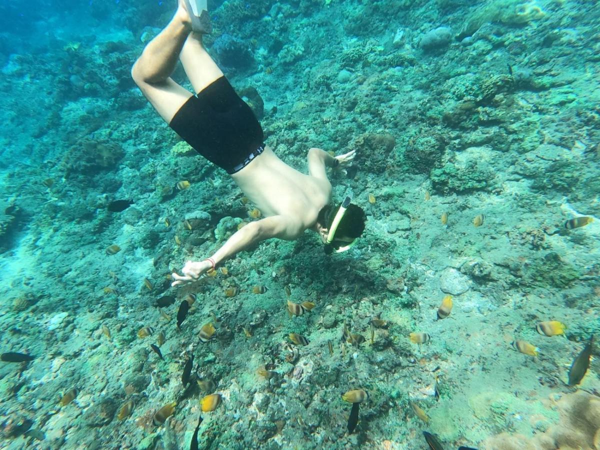 Kubu Penida *